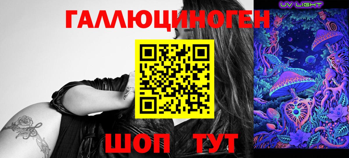 Галлюциногенные грибы Psilocybe Майкоп