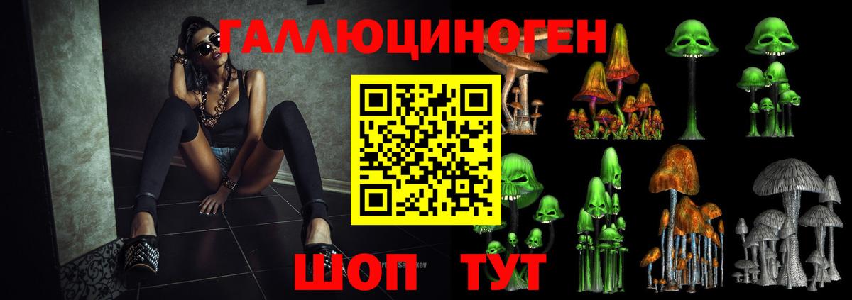 Галлюциногенные грибы Cubensis  Вход с VPN  Майкоп 