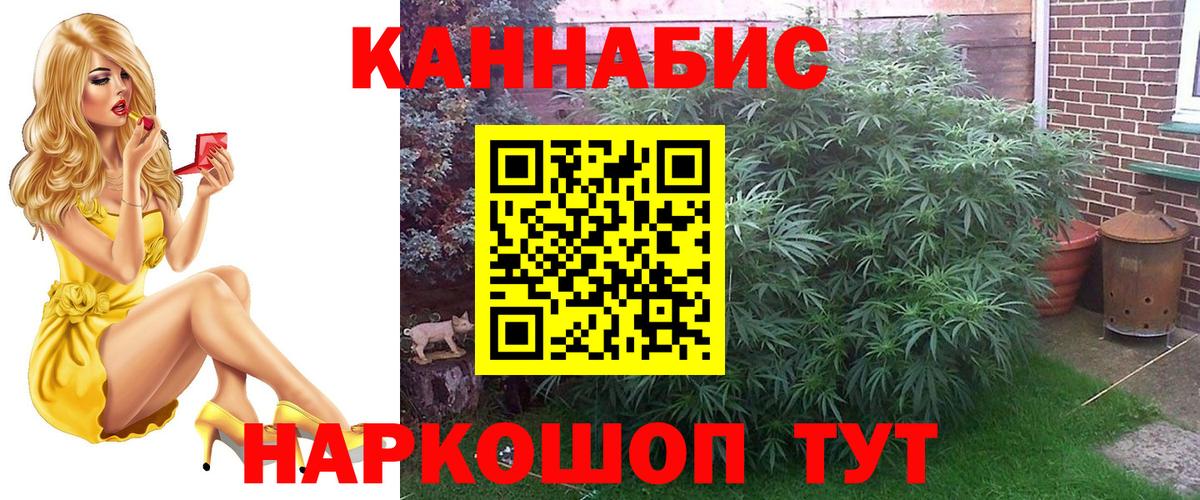 Бошки марихуана семена  Вход с VPN  Каннабис Amnesia  Майкоп 